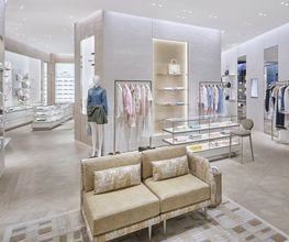 DIOR image 3