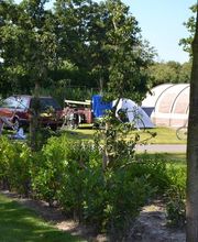 Camping In de Bongerd