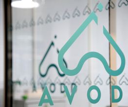 Avodd image 2
