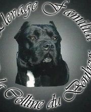 Chenil Des Fontaines image 9