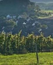 Gemeindeverwaltung /AHV-Zweigstelle / Steueramt Bild 2