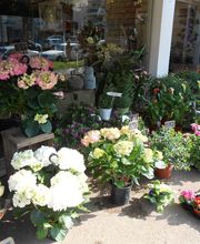 Savina Fleurs image 12