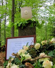 Bax Bestattungen Bild 8