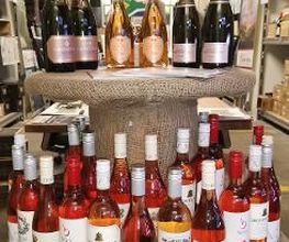 Western Cape Wines_Rosé Experience