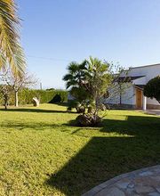 Jardinería Son Servera imagen 7