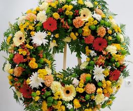 18860106-1-lCJW757KqY1771949617952.jpeg