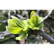 Gesundheitspraxis Alvita Thusis