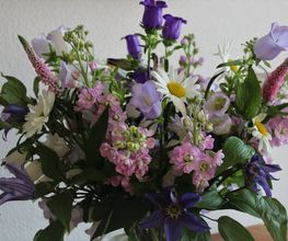 Blumen Ball GmbH Bild 12