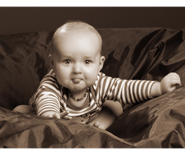 Koch - Foto - Studio Bild 3