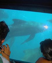 Turmares Tarifa imagen 8