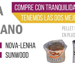 oferta-pellet-verano-2016-1024x413.png
