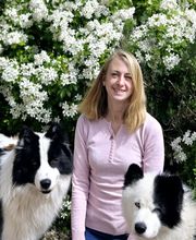 Bravo Mon Chien image 2