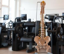 Physiotherapie Brüttisellen Bild 4