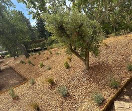 AR HORIZON image 2