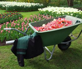 Gartenbau Howey Bild 1