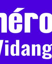 Nérocan Vidange image 2