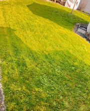 Hausmeisterservice TTN Bild 8