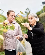 Serata Tagaktiv Bild 9