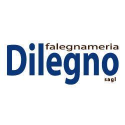 Dilegno Sagl