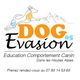 Dog Evasion 05