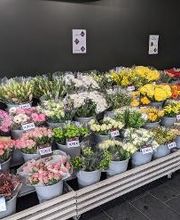 Carrément Fleurs - Fleuriste Nîmes 30 - Livraison de fleurs à domicile image 5