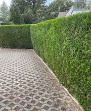 Habermann Hausmeisterservice & Zaunservice in Langen und Umgebung Bild 8