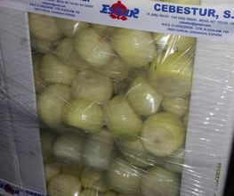 CEBESTUR,S.L. imagen 15
