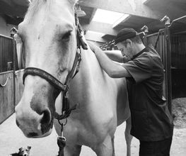 Uzan Stéphane image 15