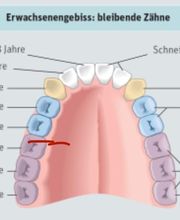 Dental Labor Bild 10