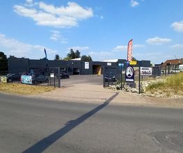 L.T. image 1