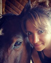 JP Pferdetraining Bild 1