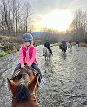 Cerdanya Eqüestre imagen 7