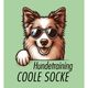 Hundetraining coole Socke - Viola Baumert