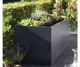 Colombo Gärten GmbH Bild 6