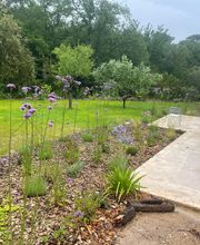 T2H Espaces Verts image 8