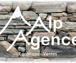 Alp Agence image 8