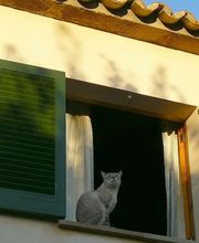 Martin René SARL image 2