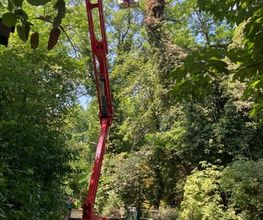 WS-Skyworker AG Bild 2