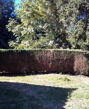 Multi Services Occitanie image 19