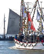"Gut gelaunt"-Kutter bei der Büsumer Kutterregatta