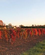 Château Portier image 2