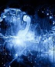 DPD Management en Advies BV