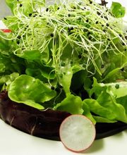 Leu Event Catering GmbH Bild 10