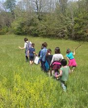 Espace d'équithérapie et d'équicoaching image 13