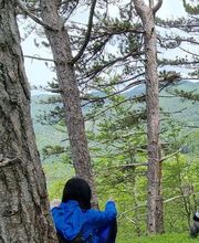 Art Imagery di Patrizia Garberi immagine 5