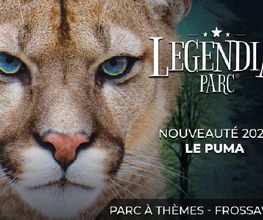 Legendia Parc image 7