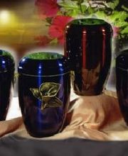 Bestattungshaus "Am Friedhof" Bild 3