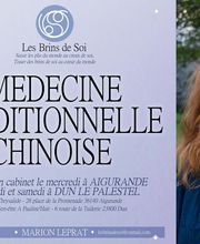 Marion Leprat - Médecine Traditionnelle Chinoise image 12