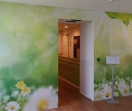 Woodtli Renovationen - Maler, Gipser, Bodenleger Bild 3