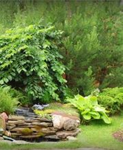 Eugen Lederer Inh. Matthias Lederer Gartengestaltung Bild 2